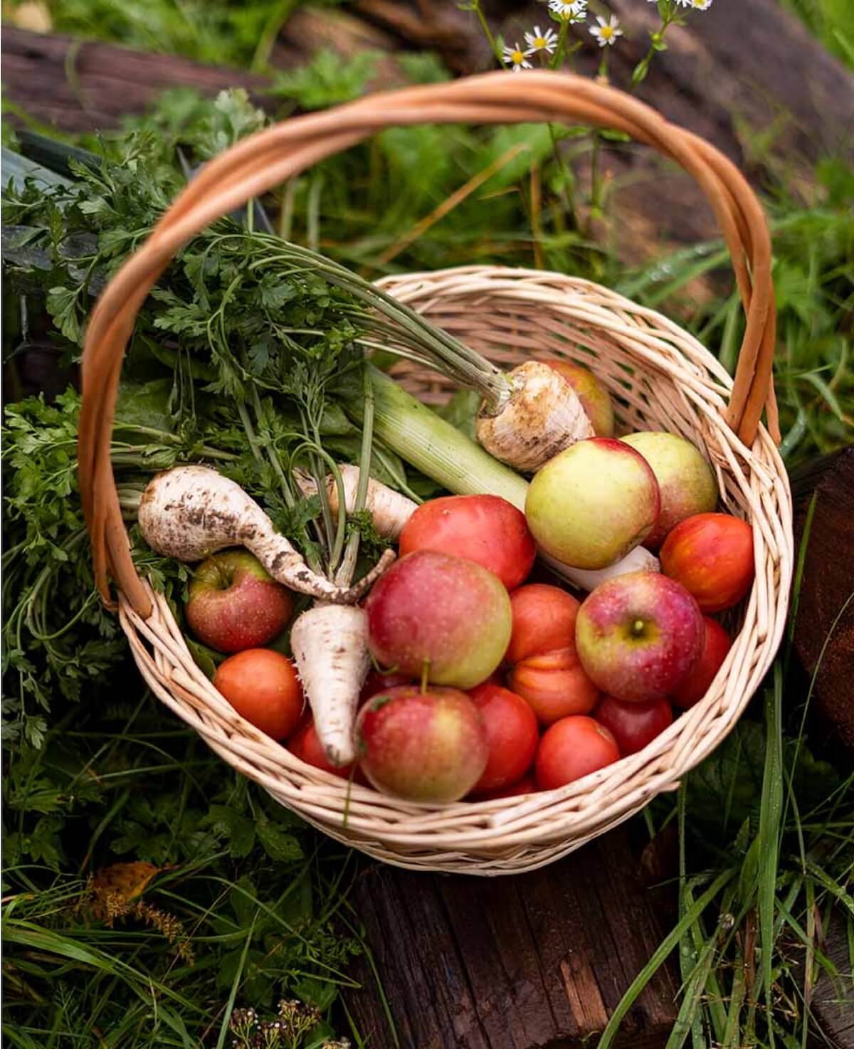 Photo d'un panier de légumes