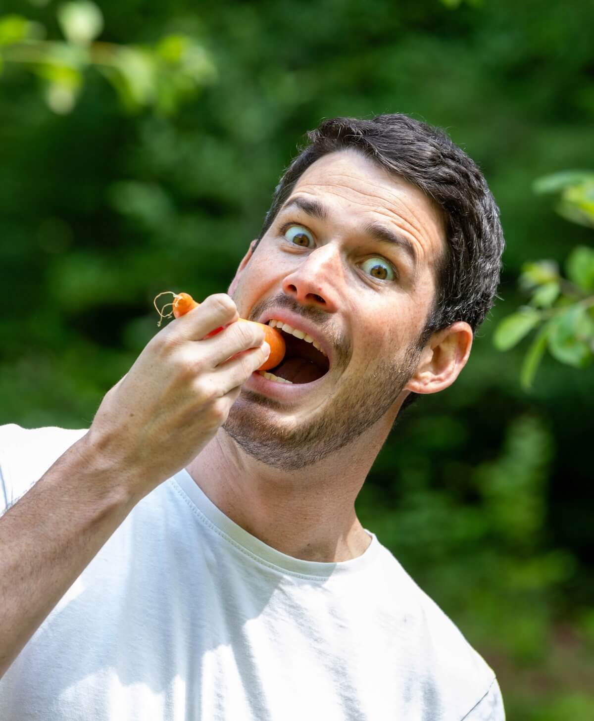 Tanguy qui mange une carotte